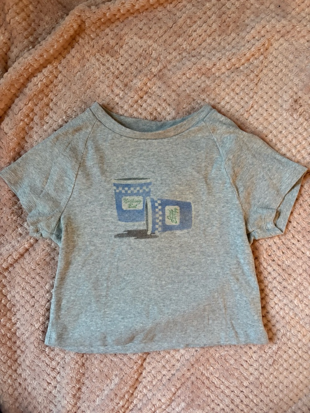 aerie Heather Gray Short Sleeve Tee with Blue Graphic Canisters
